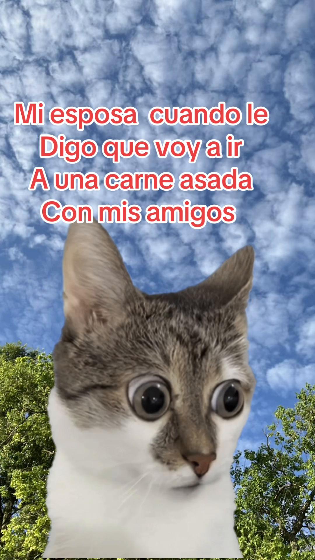 @𝓐𝓵𝓲𝓬𝓮 𝓖'👩&zwj;🍳🍪🦋☘️