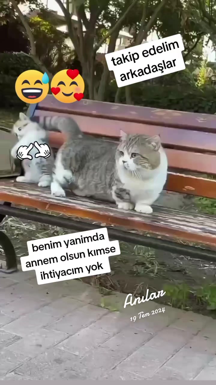 @gamzeli kızı 😊 minnoşlari