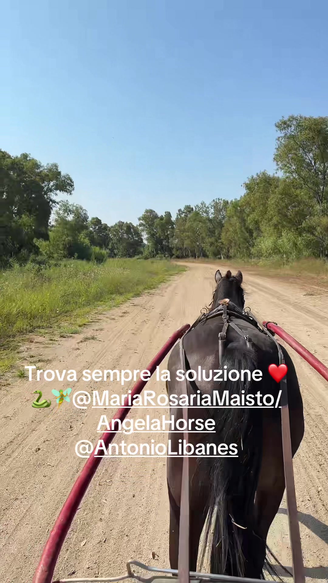 @Angela Capuano