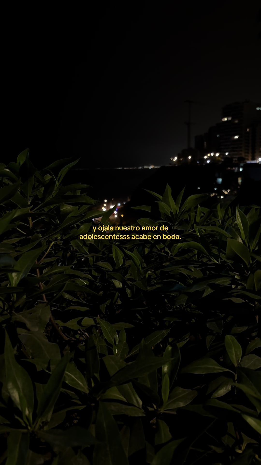 @LoveVibes