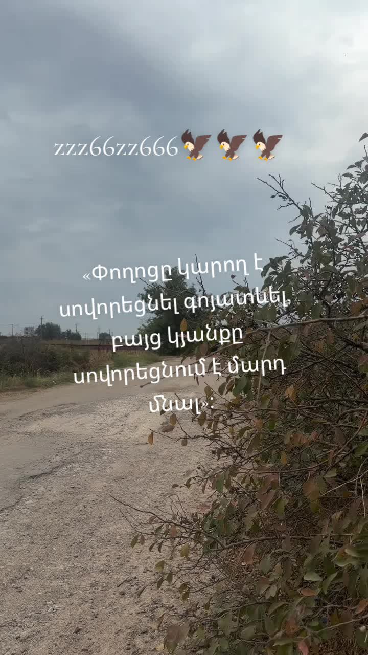 @🦅🦅🦅