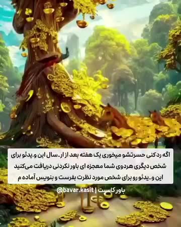 @bavar__kasit__1