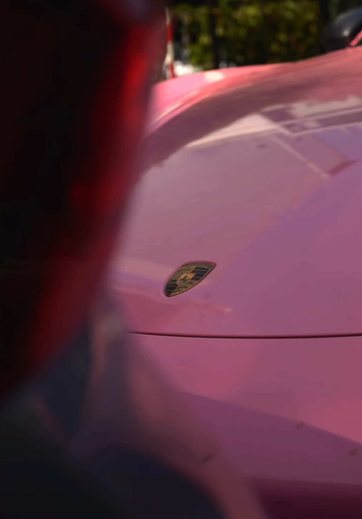 @Exotics.mx