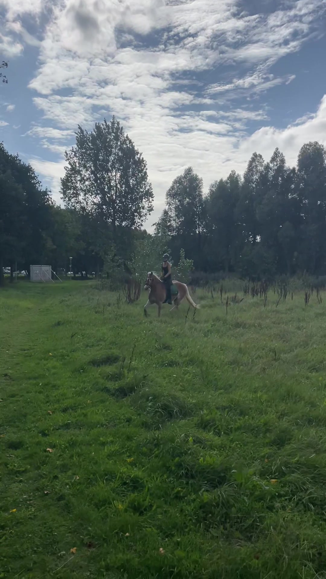@Sanne-Jasmijn💗⭐️