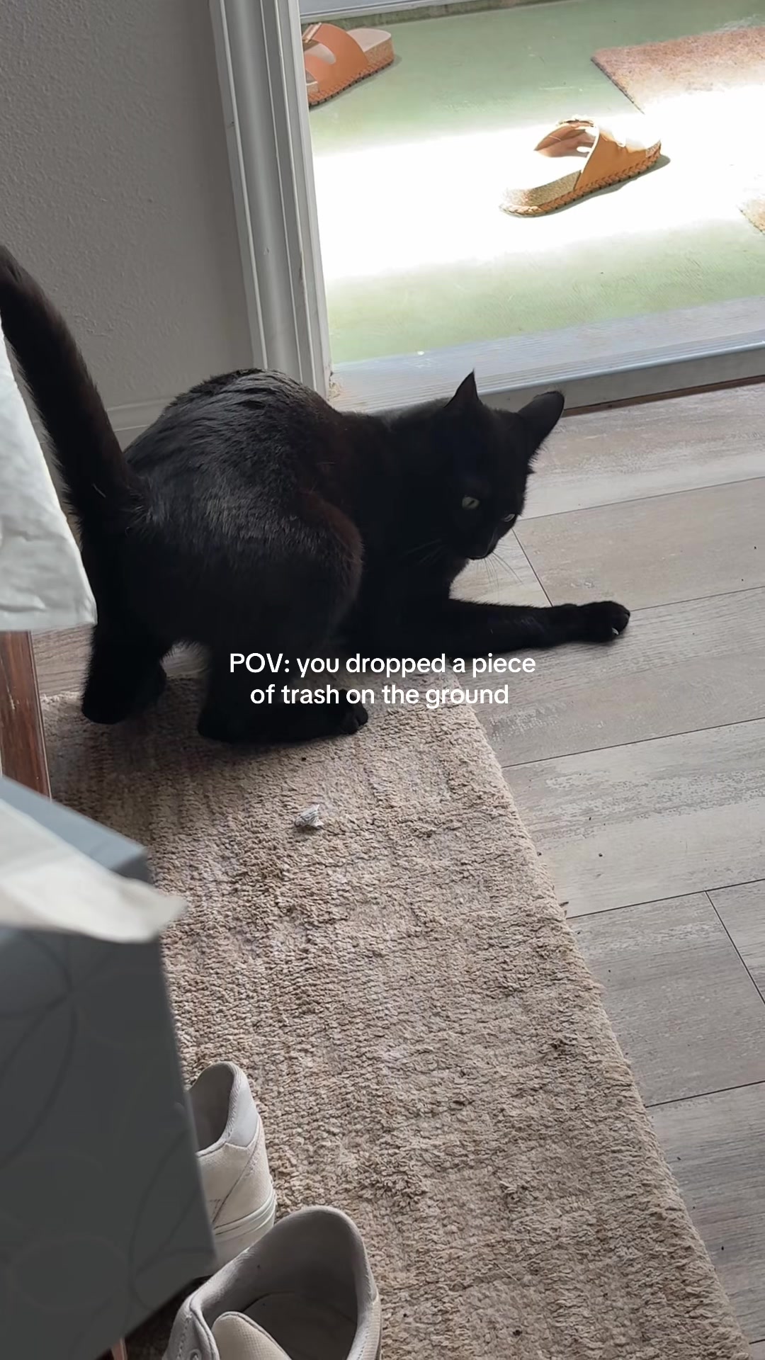 @Biggy smalls🐈⬛
