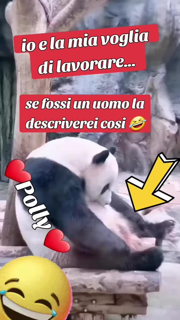 @♥️ POLLY ♥️