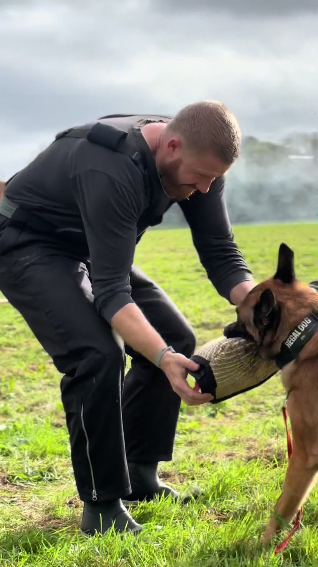 @Sirius K9