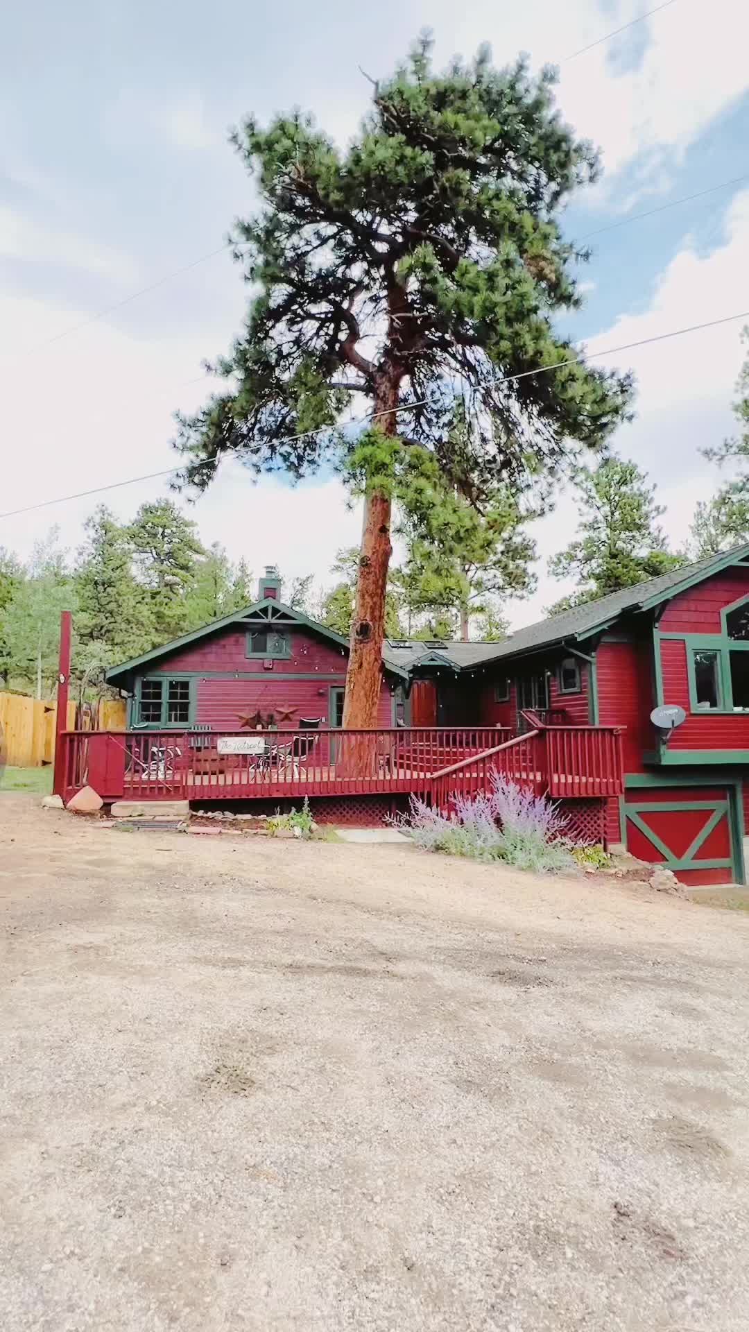 @Estes&ensp;Pines
