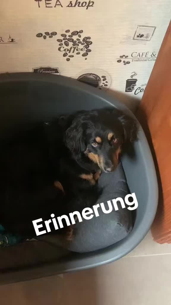 @Pipi Langstrumpf