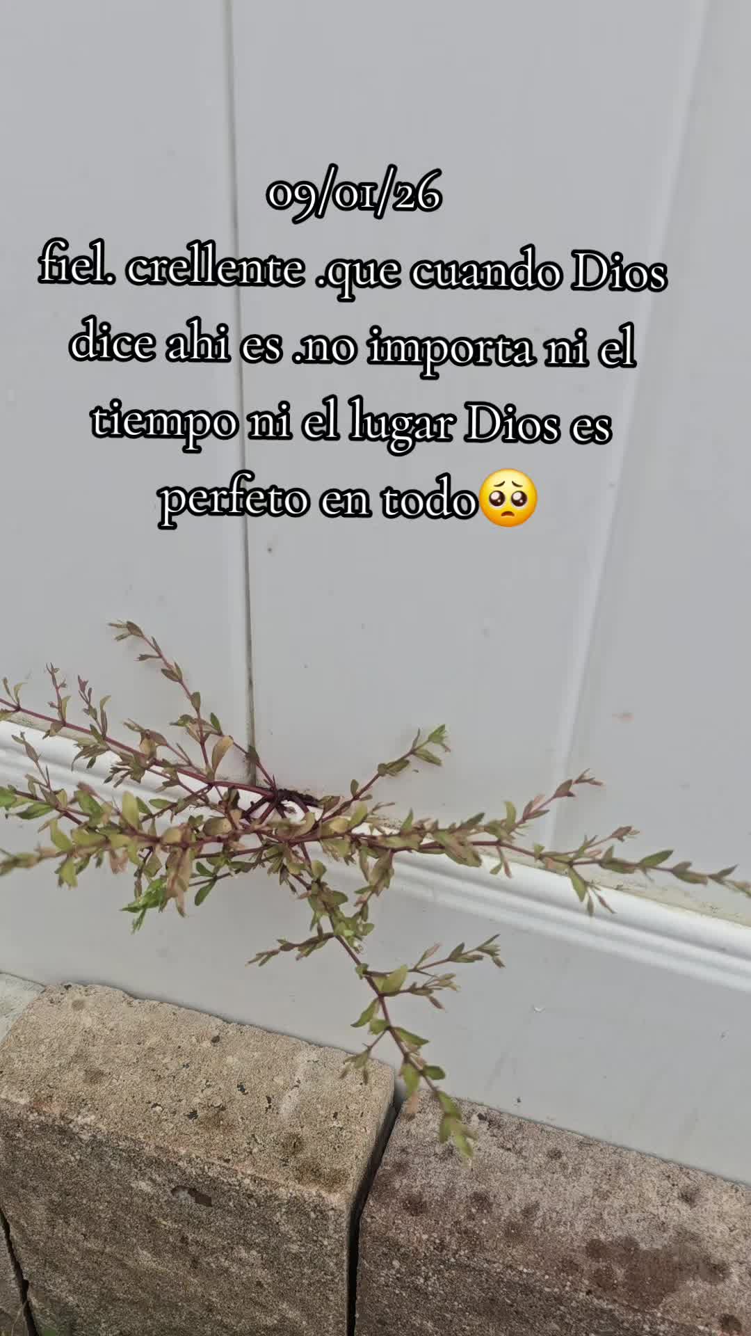 @fanny🐛🦋 pleitez 🐛🦋