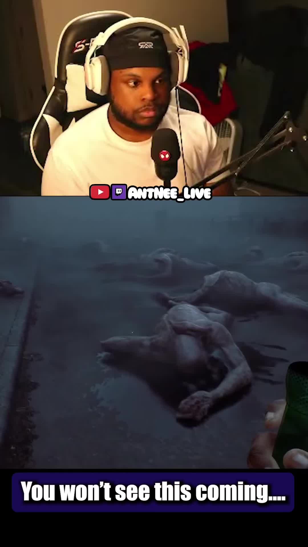 @AntNee Live