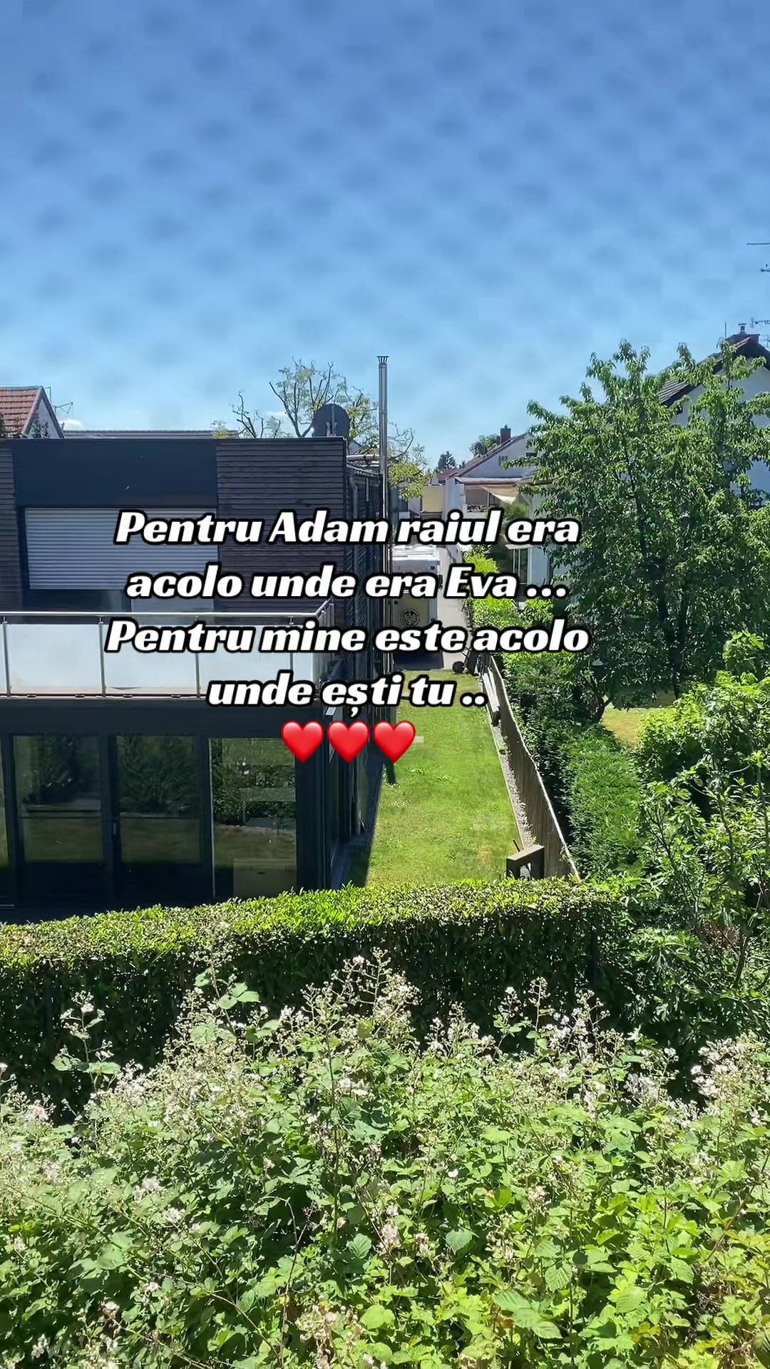 @🧸 bubu 🧸