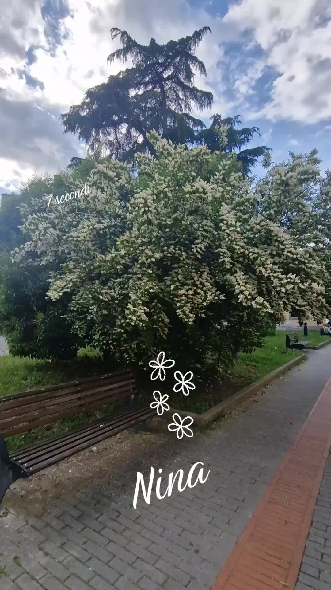 @Nina Nina🇬🇪🫶🫶🇮🇹