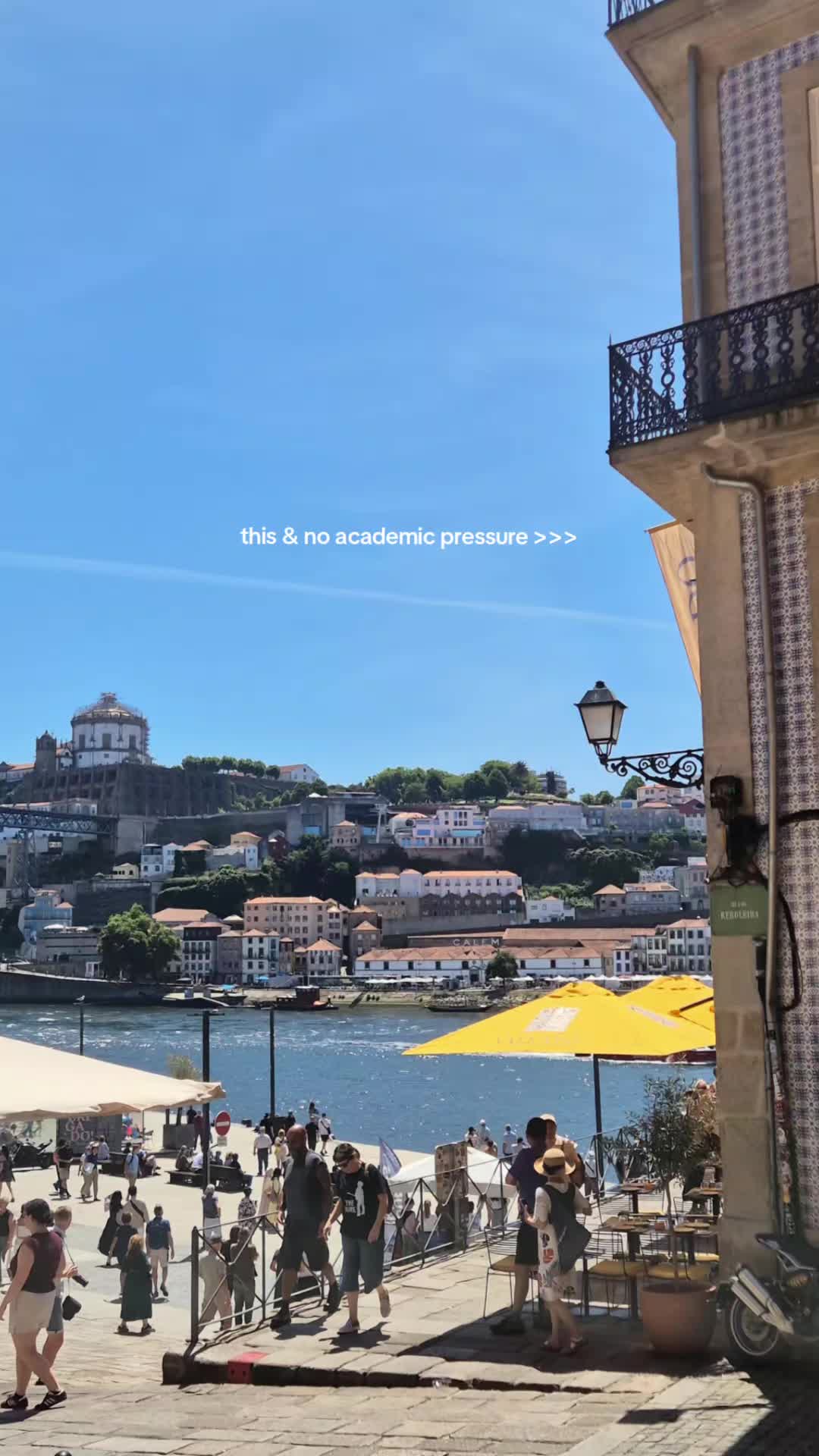 @bonamee