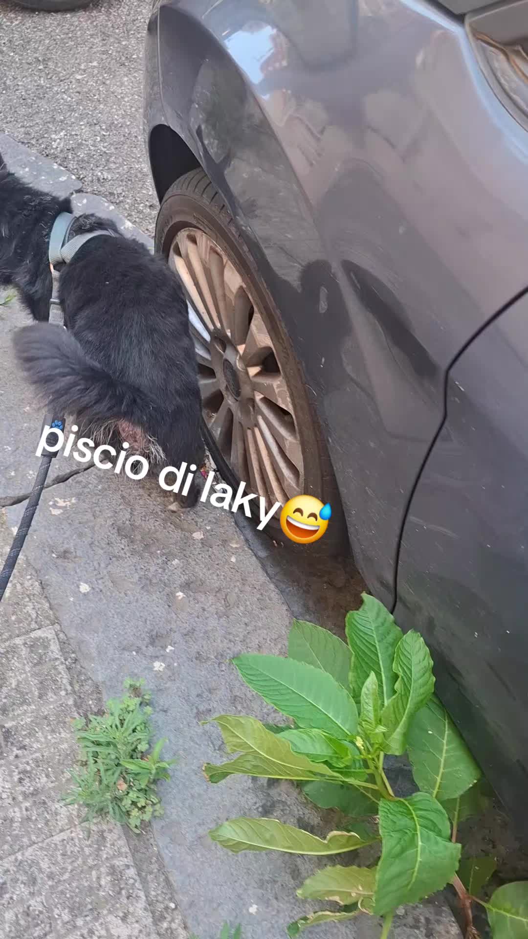 @🌈Nene' massaggi relax🌈