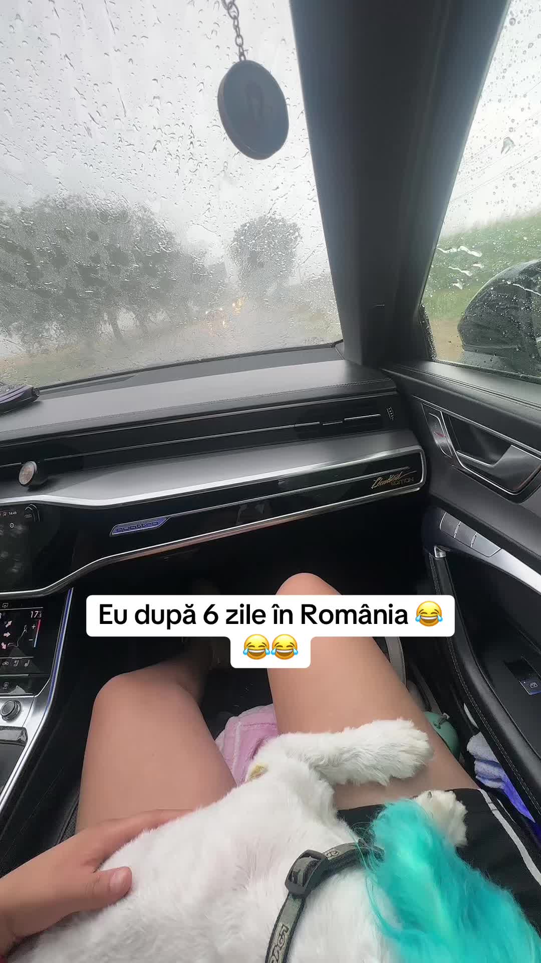 @Năstase Cosmina Anghel