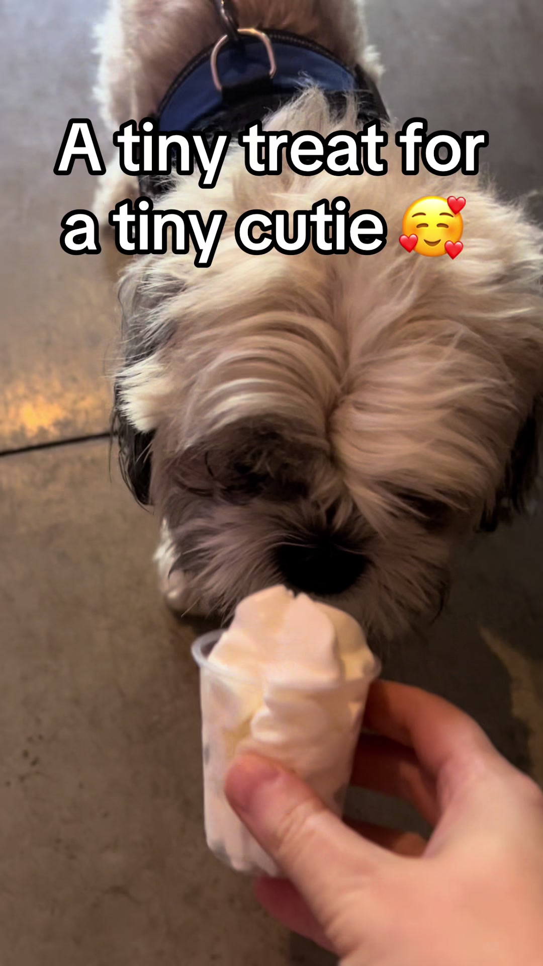@Smiley Cup