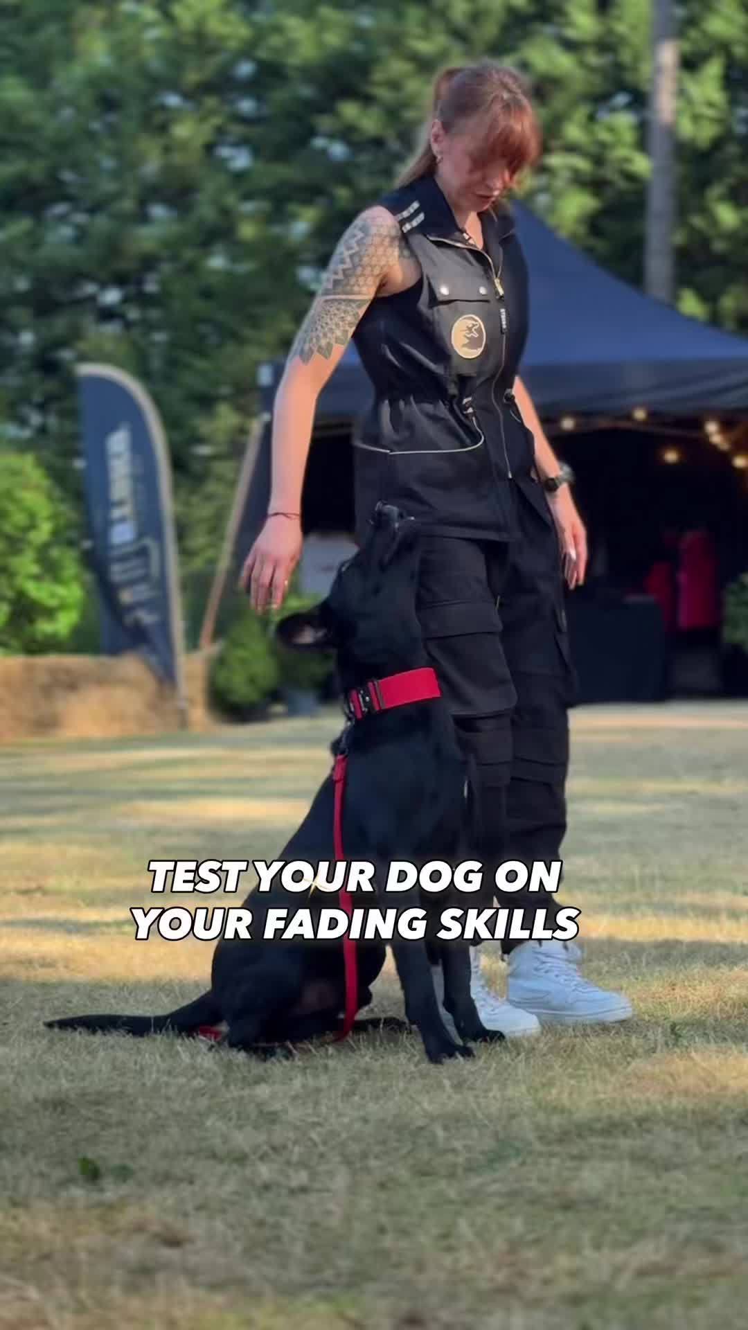 @STSK9