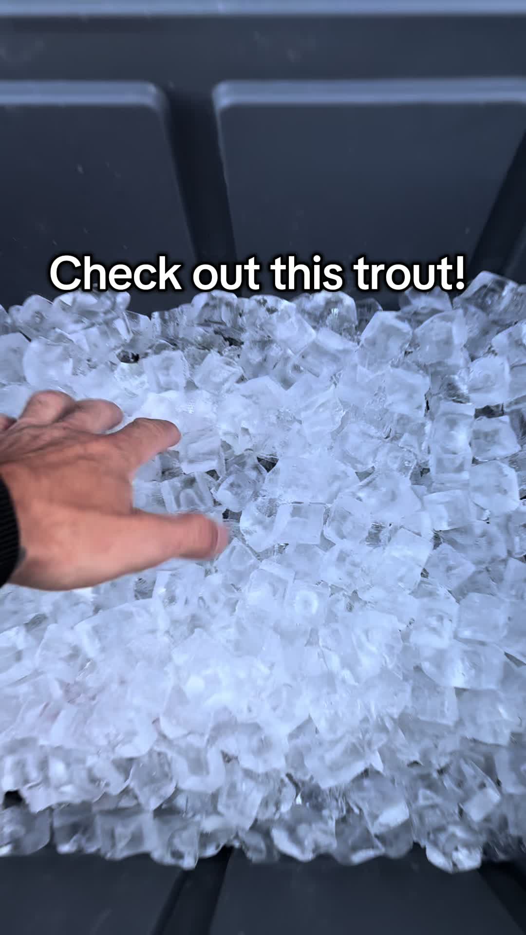 @Austin T. Coates