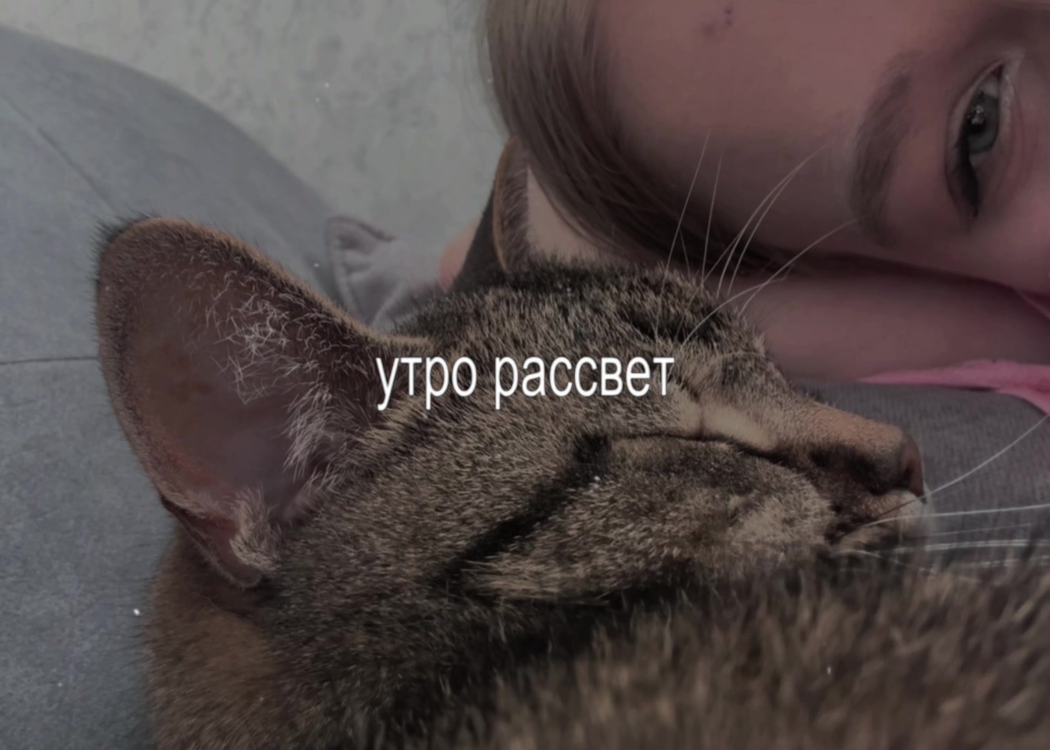 @dashylikkk