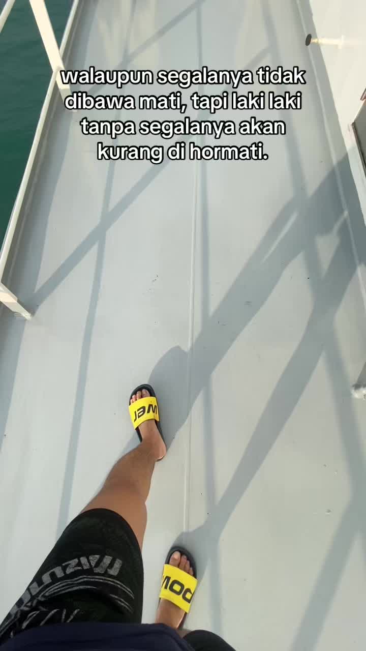 @🐬