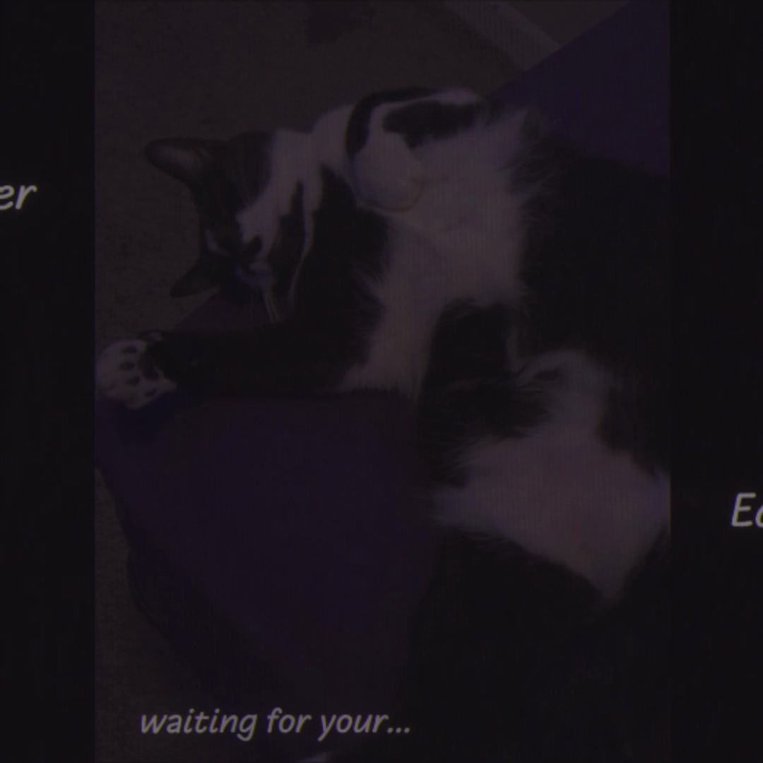 @⋆˚࿔ 𝓒𝓪𝔂𝓵𝓪 𝜗𝜚˚⋆