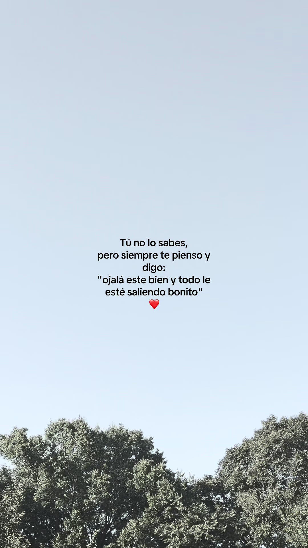 @&ldquo;Voces del Eco&rdquo;