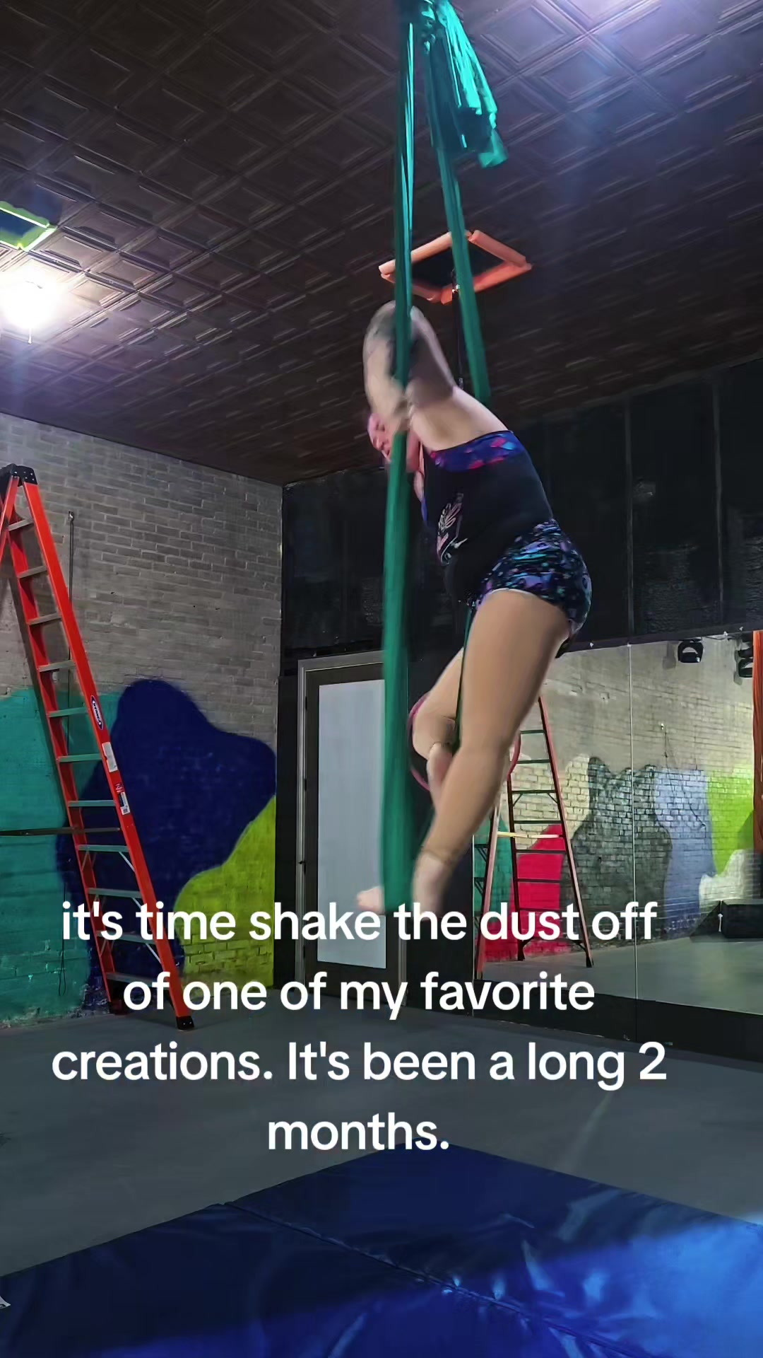 @curious cat creations