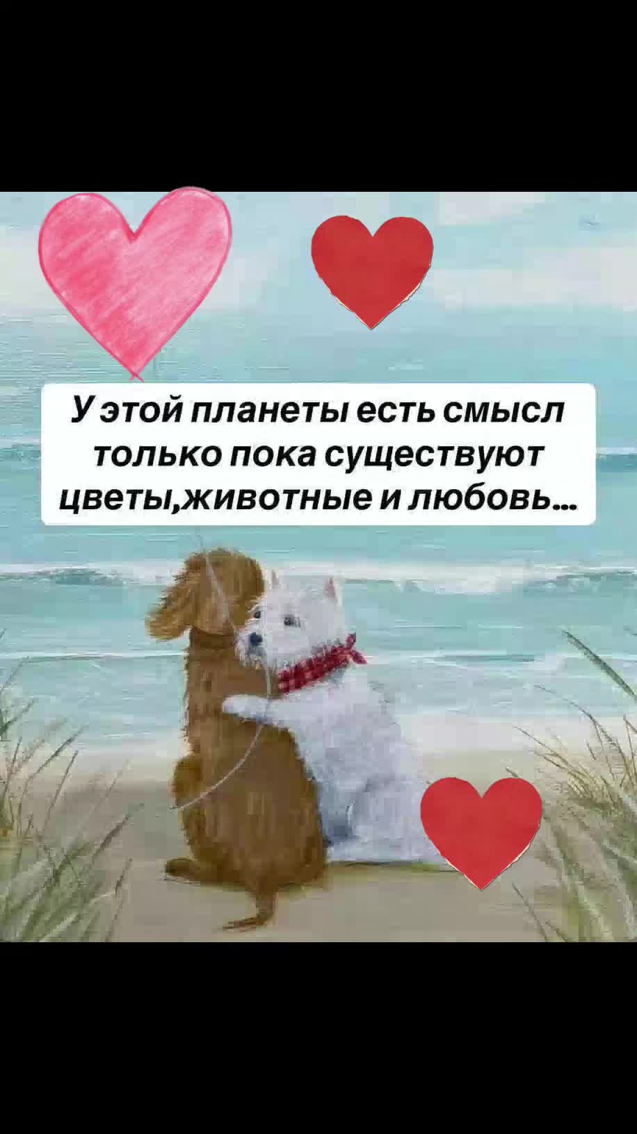 @❌🐯ЛЮДМИЛАБелоковаленко♒♥️