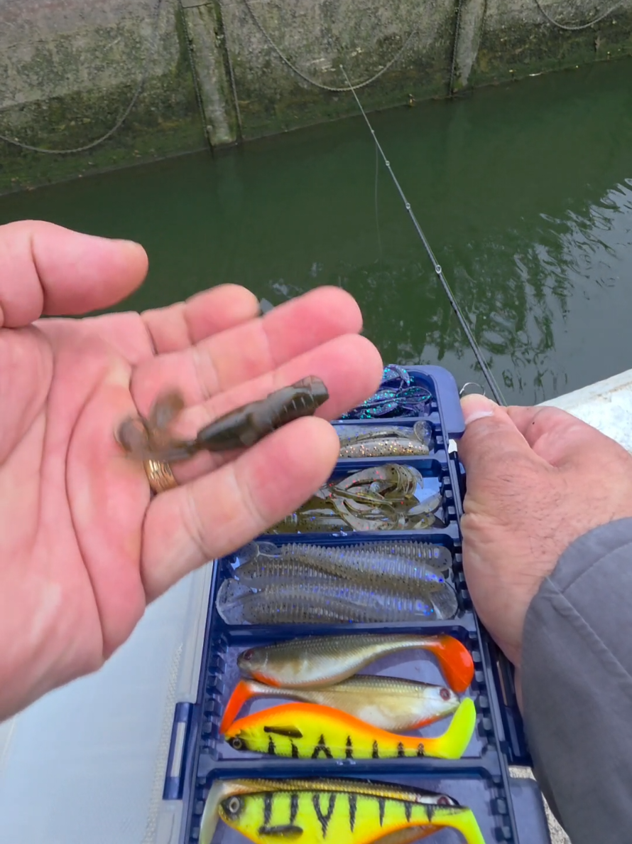 @BF Angler