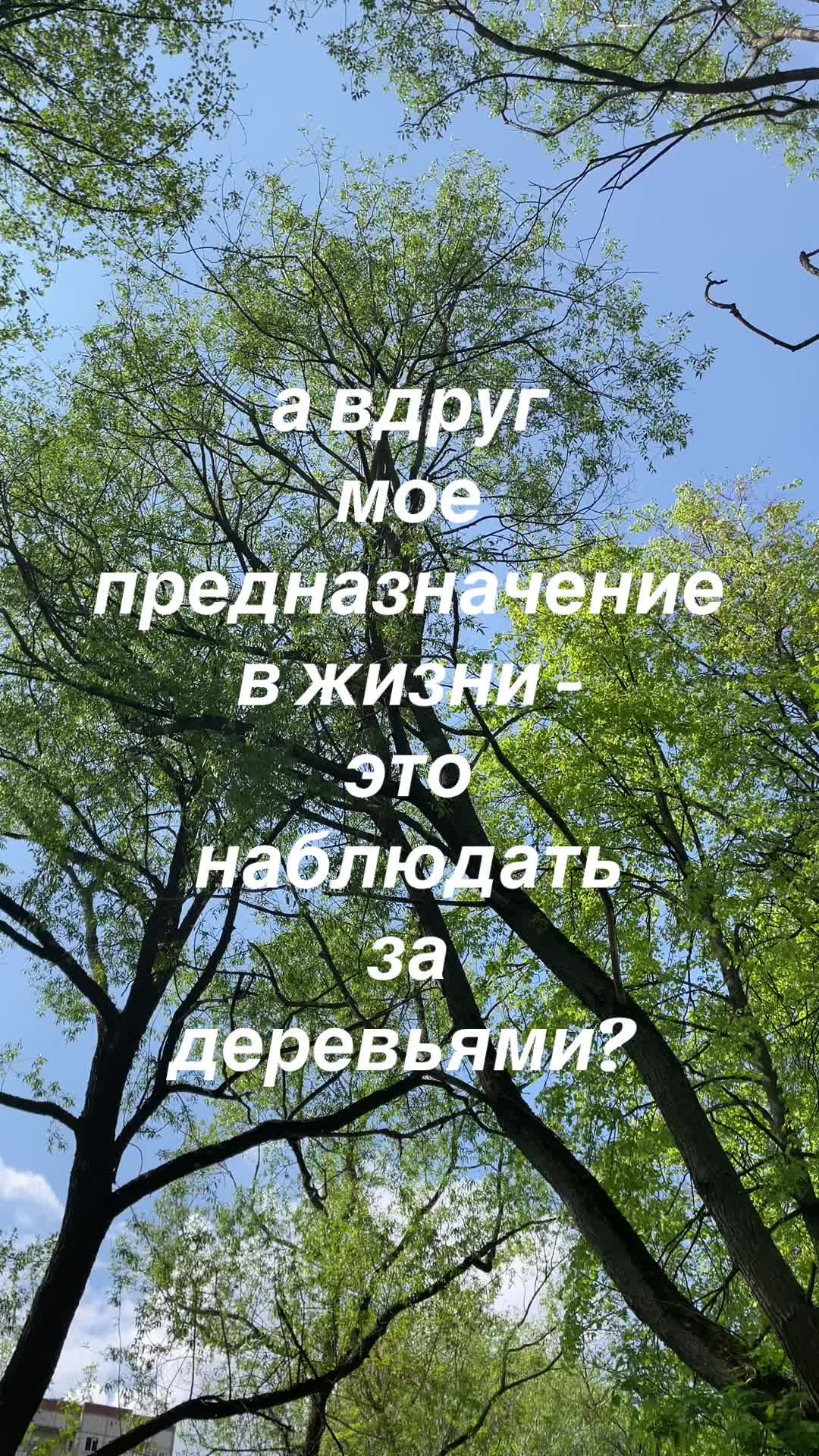 @astaya🌀