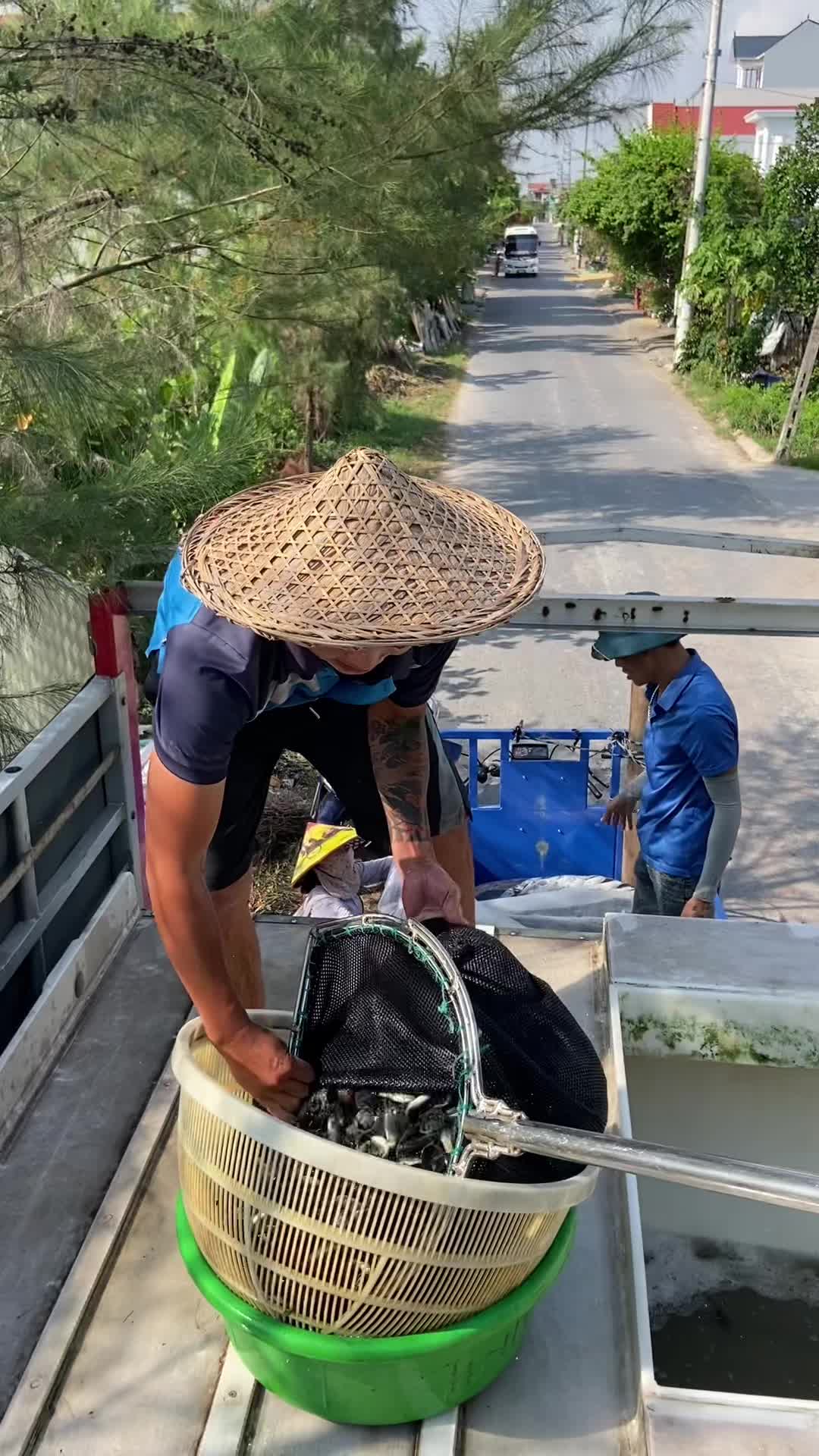 @Trại Cá Giống Quang Lâm
