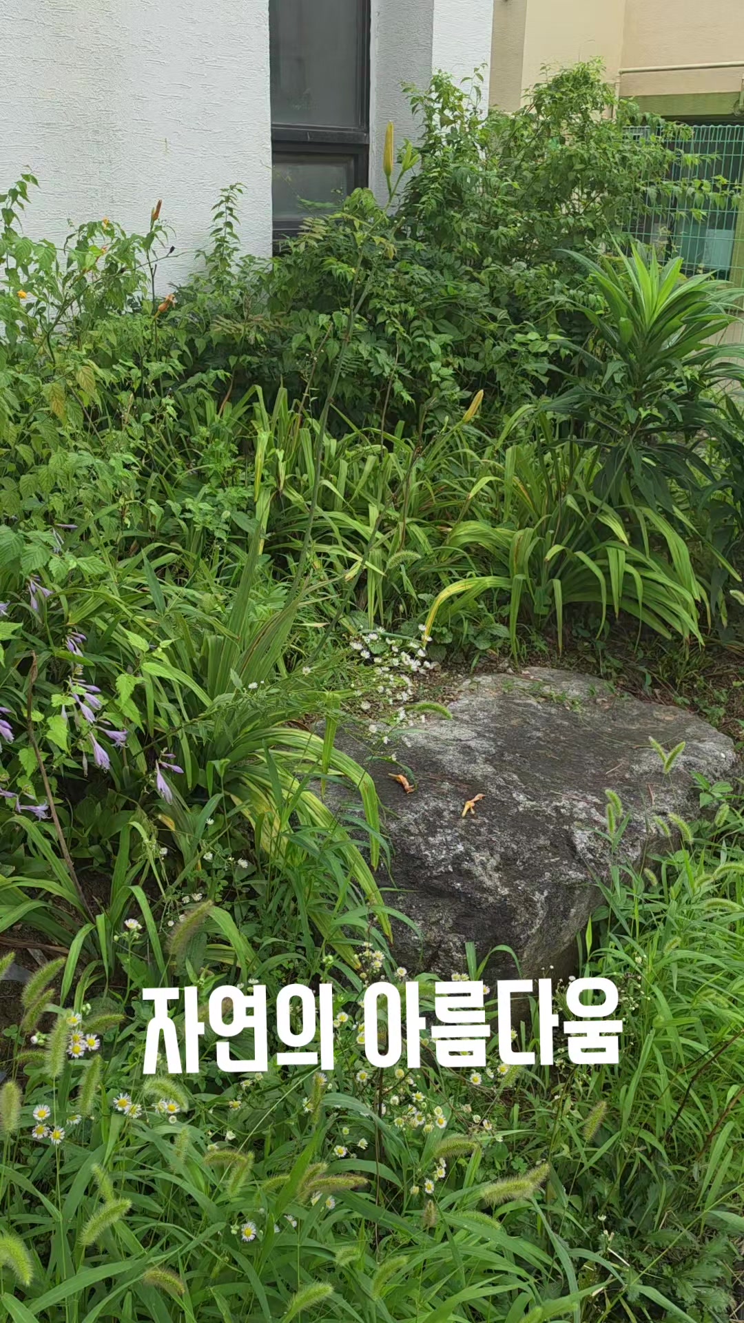 @김동욱802