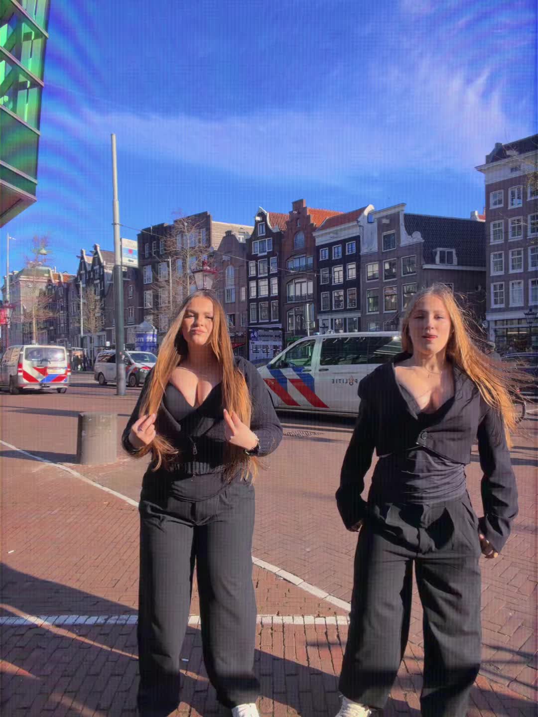 @hamsters