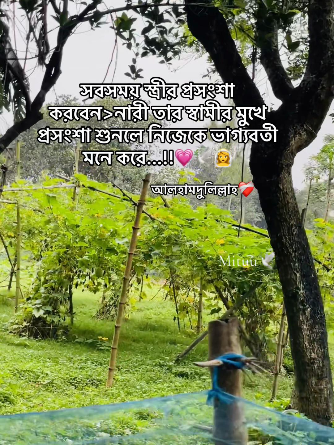 @Mituuđī¸đ