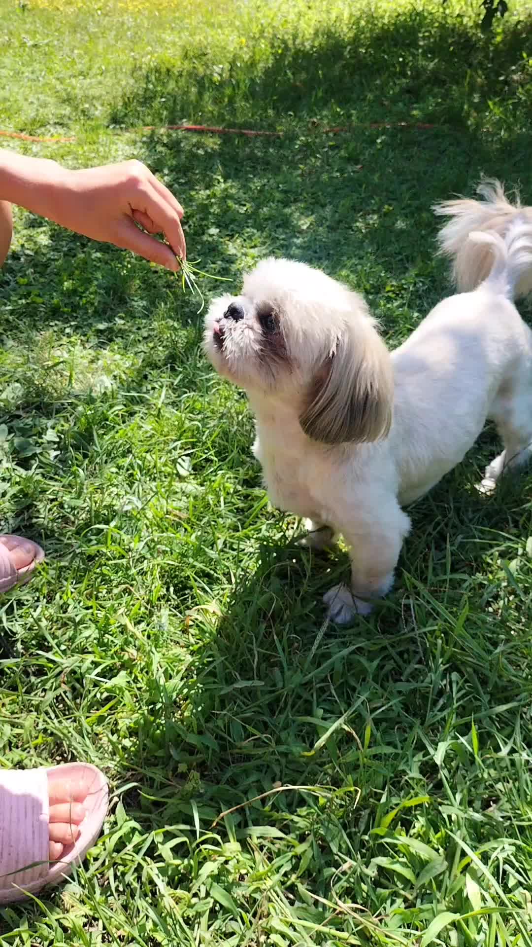 @Mirabelka 🍀