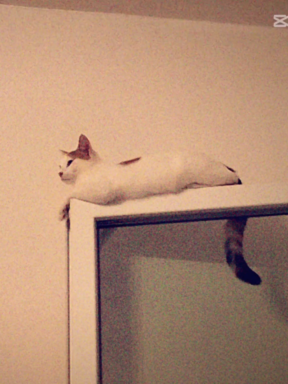@Th3.s1lly.&otimes;n3:3