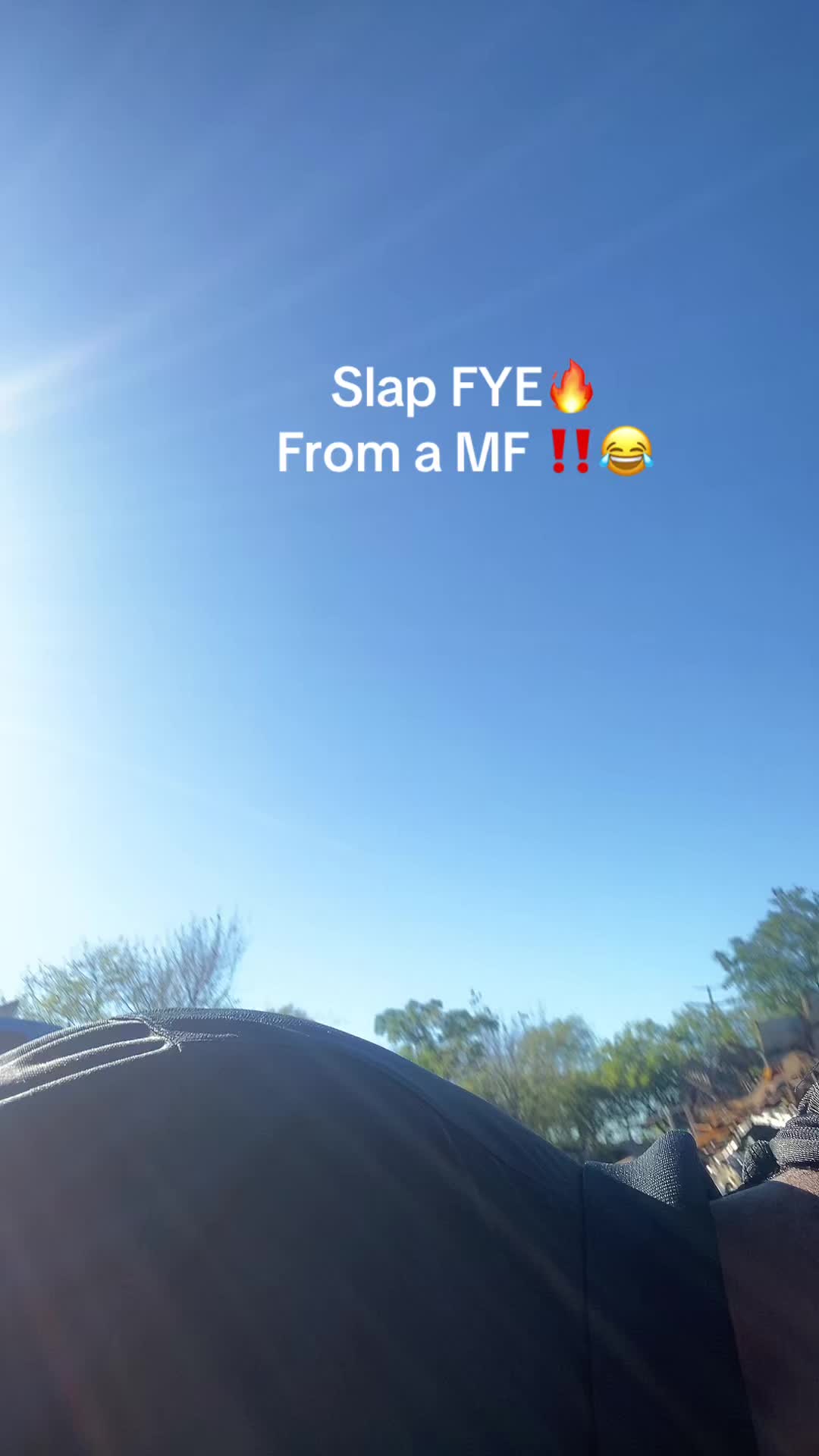 @214Teddy