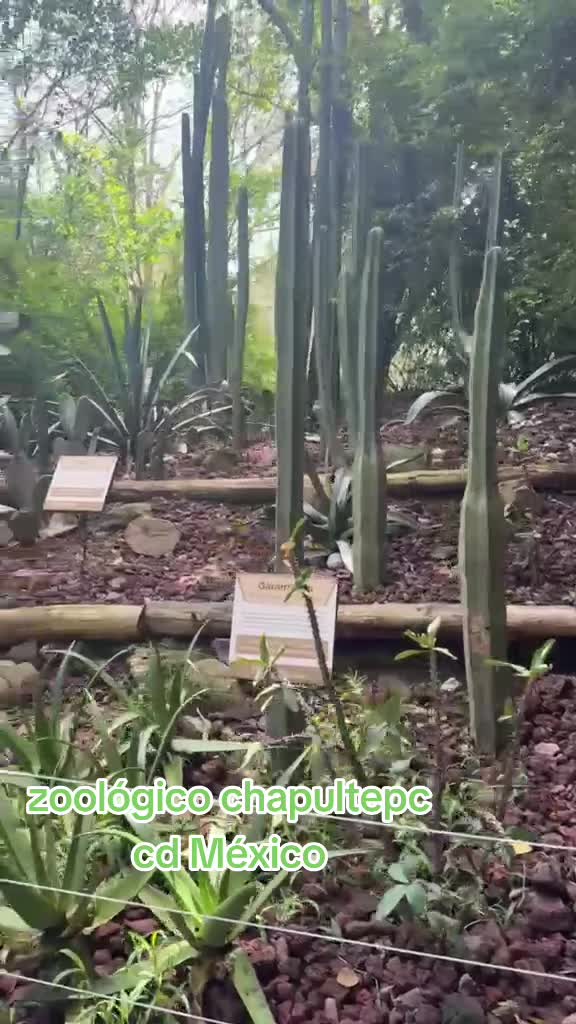 @IsidroEscobar