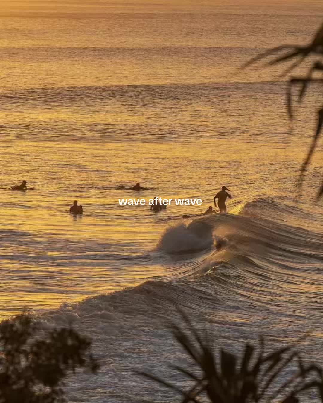 @𝓢
