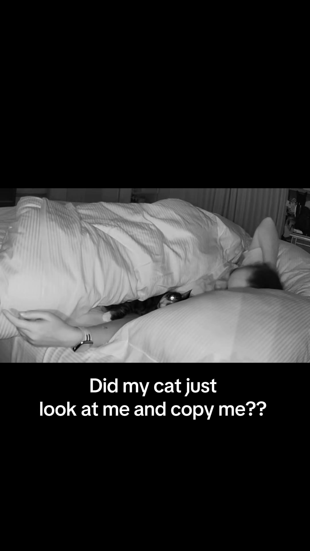 @Tori