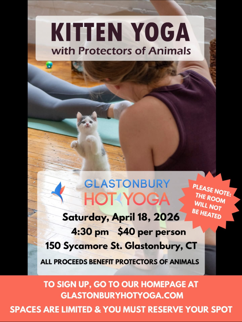 @Protectors of Animals CT