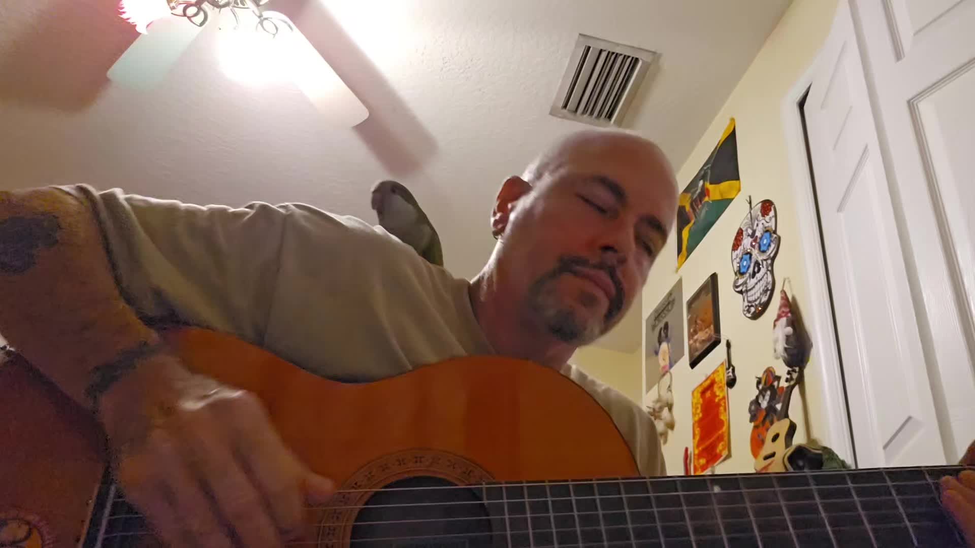 @Jiffy Jeff 43