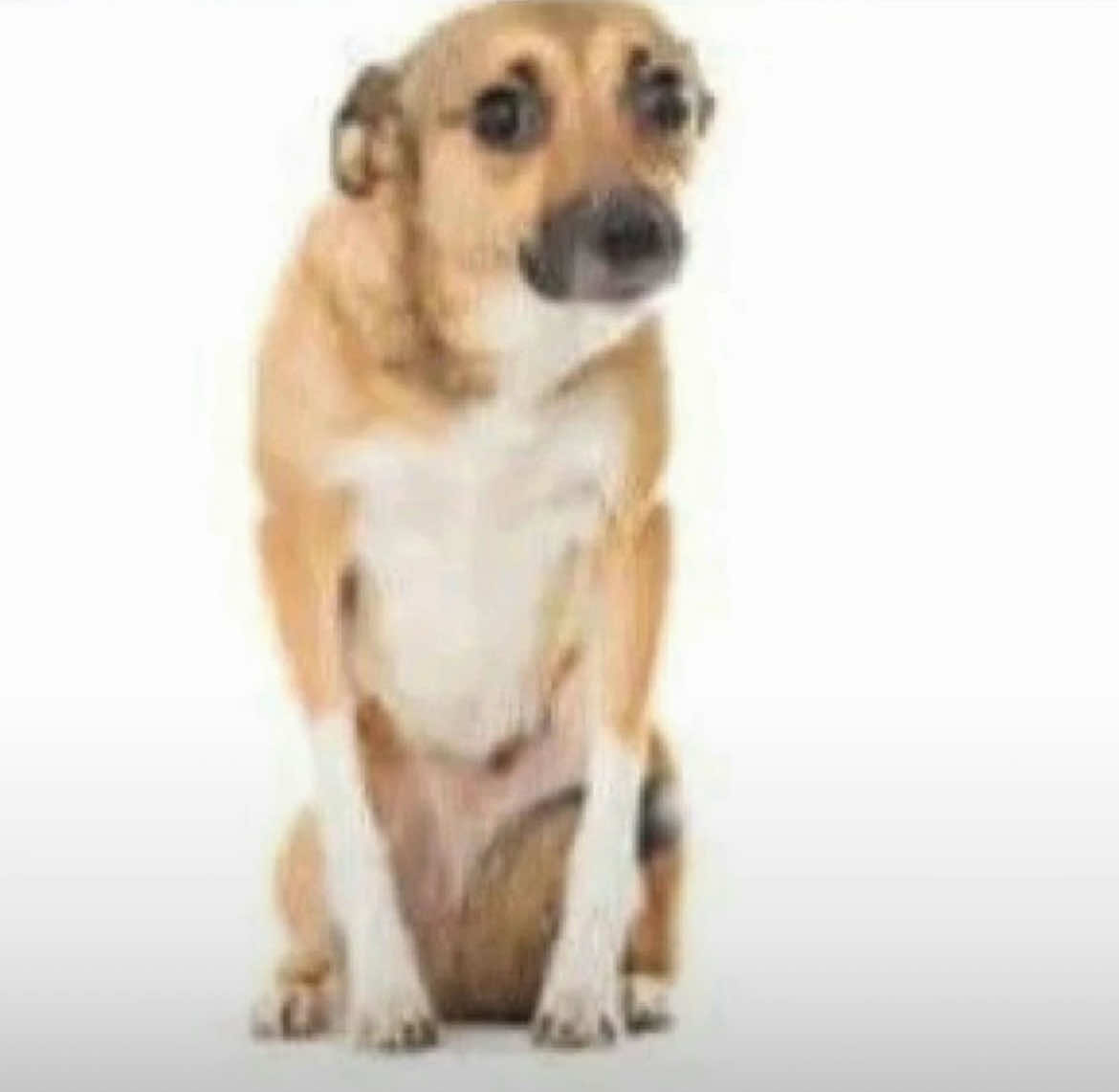 @🪐