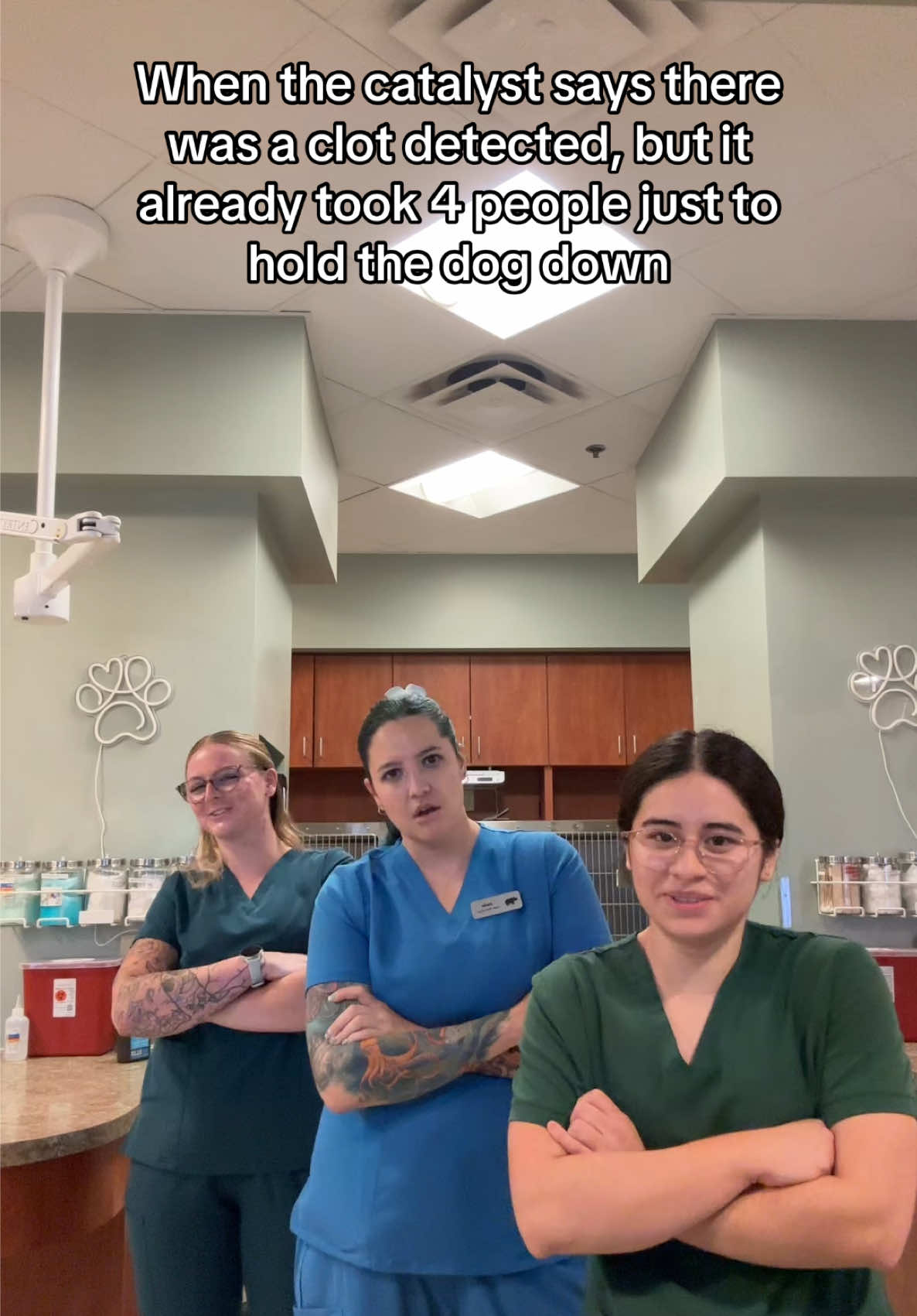 @Dreaming Summit Animal Hosp