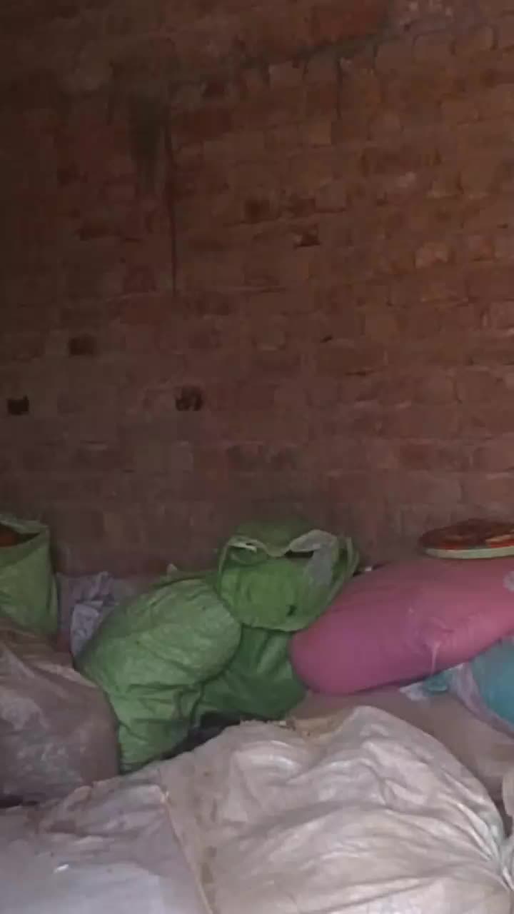 @Kala Don😈😡🧐