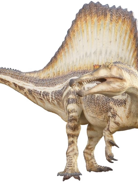 @Extinction Cometh