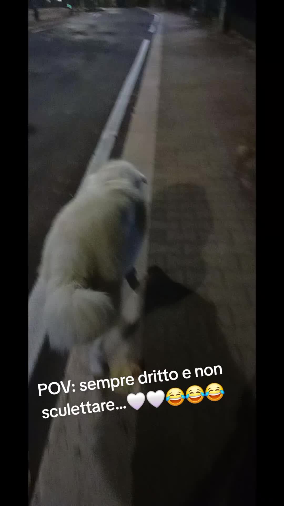 @bianca belpiede la maremmana