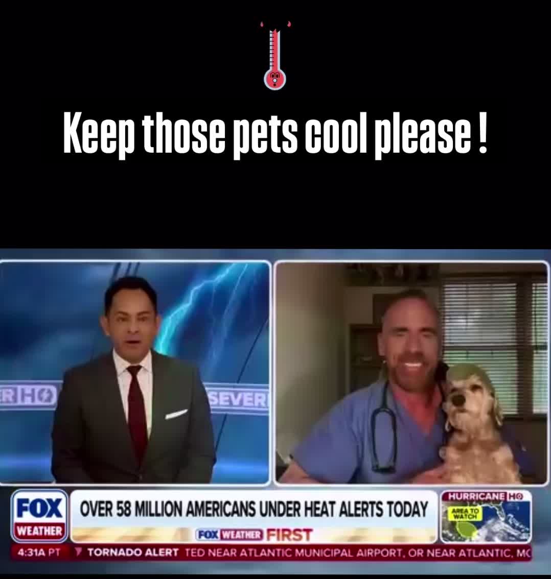 @dr.adam_christman_Veterinarian