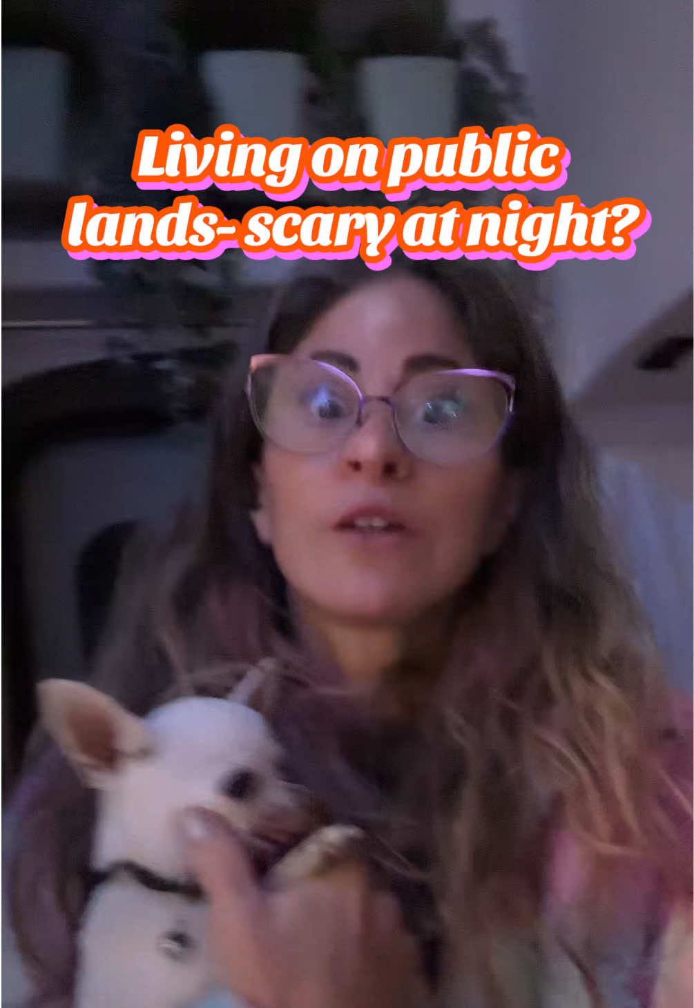 @🍄The Rv Chickadee